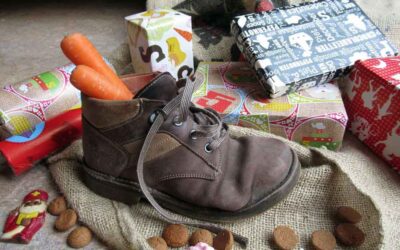 Online met Sinterklaas 19 november 2022