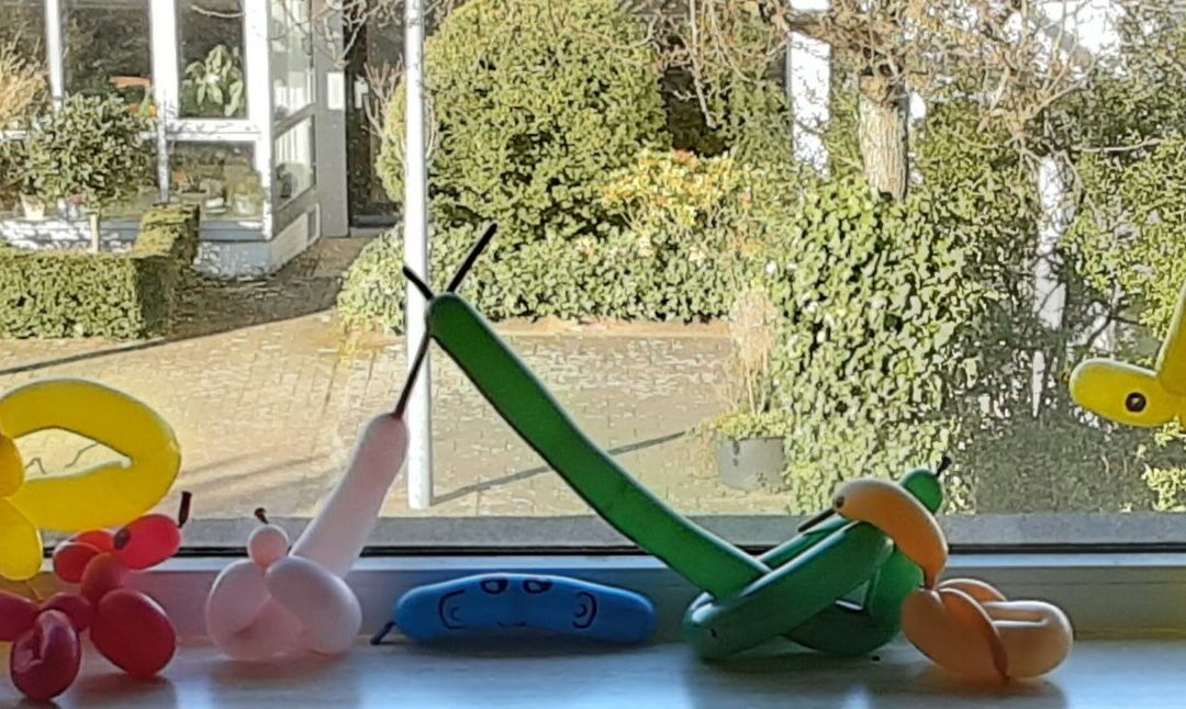 BigBeng Ballonnen Bal 26 februari 2022